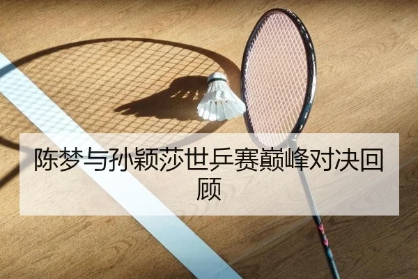 陈梦与孙颖莎世乒赛巅峰对决回顾